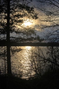 Nature (0)
